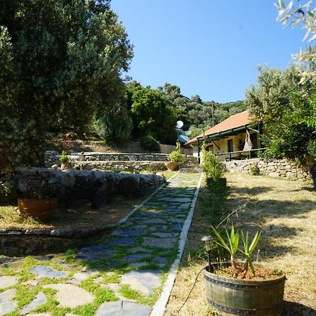 Elpida Country House -Paleochora-Anidri Экстерьер фото